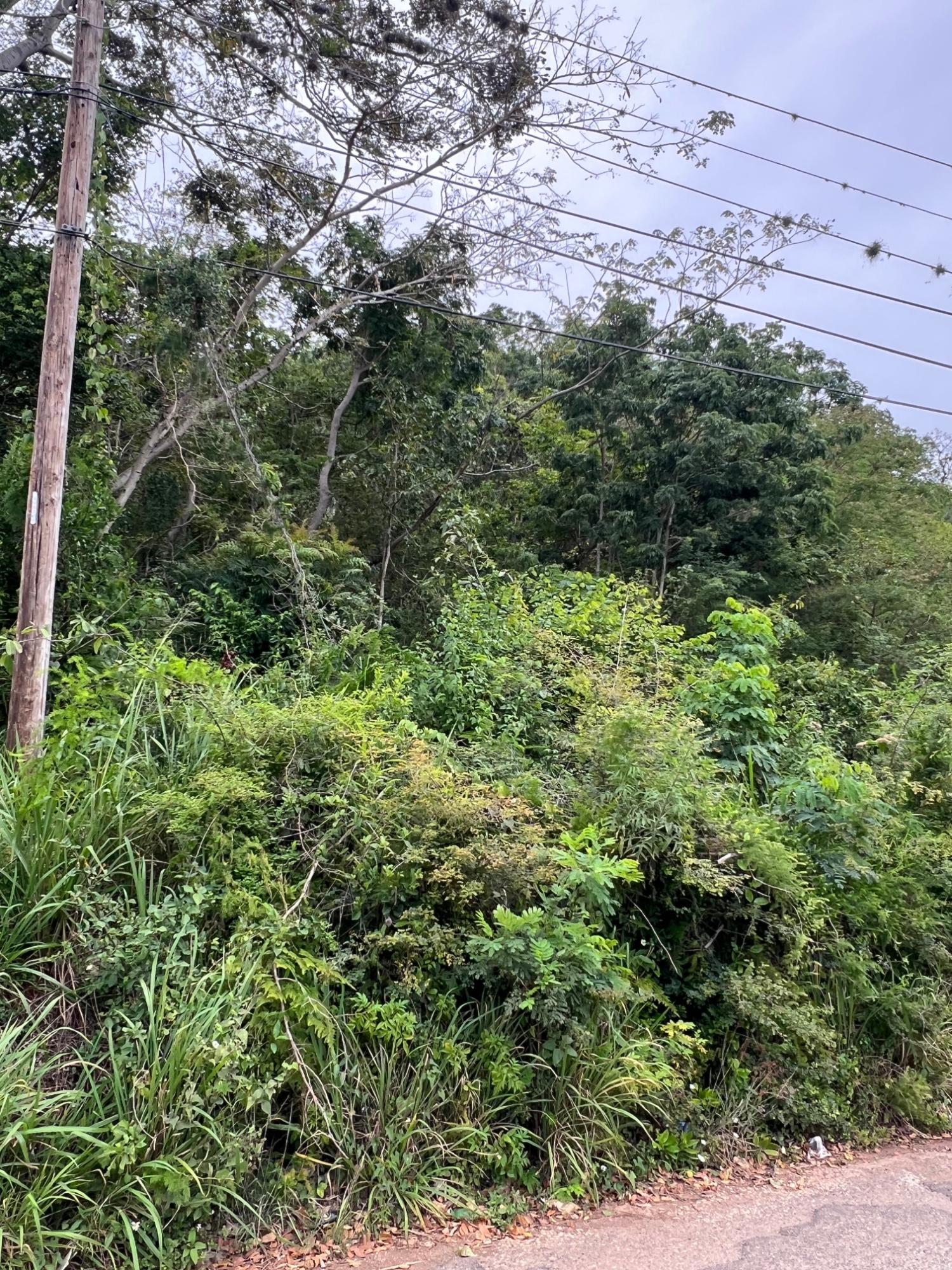 Eighteenth image of 148 Cyprus Hall Road, Belvede in Kingston 19, St. Andrew, Jamaica - property is For Sale