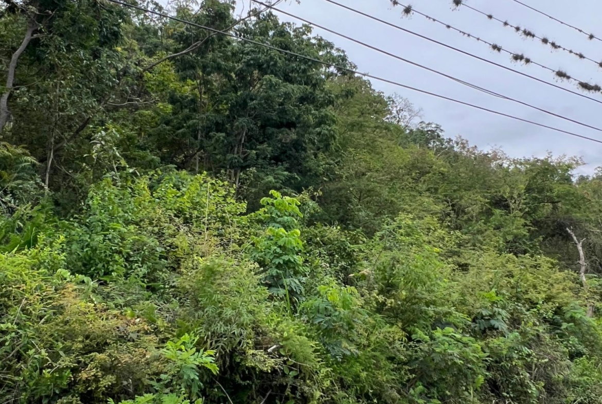 Nineteenth image of 148 Cyprus Hall Road, Belvede in Kingston 19, St. Andrew, Jamaica - property is For Sale