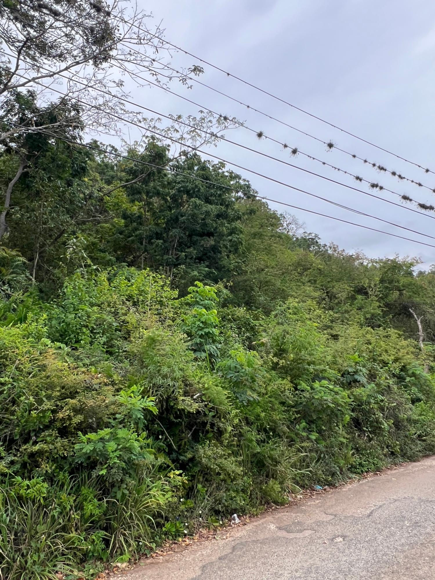 Nineteenth image of 148 Cyprus Hall Road, Belvede in Kingston 19, St. Andrew, Jamaica - property is For Sale