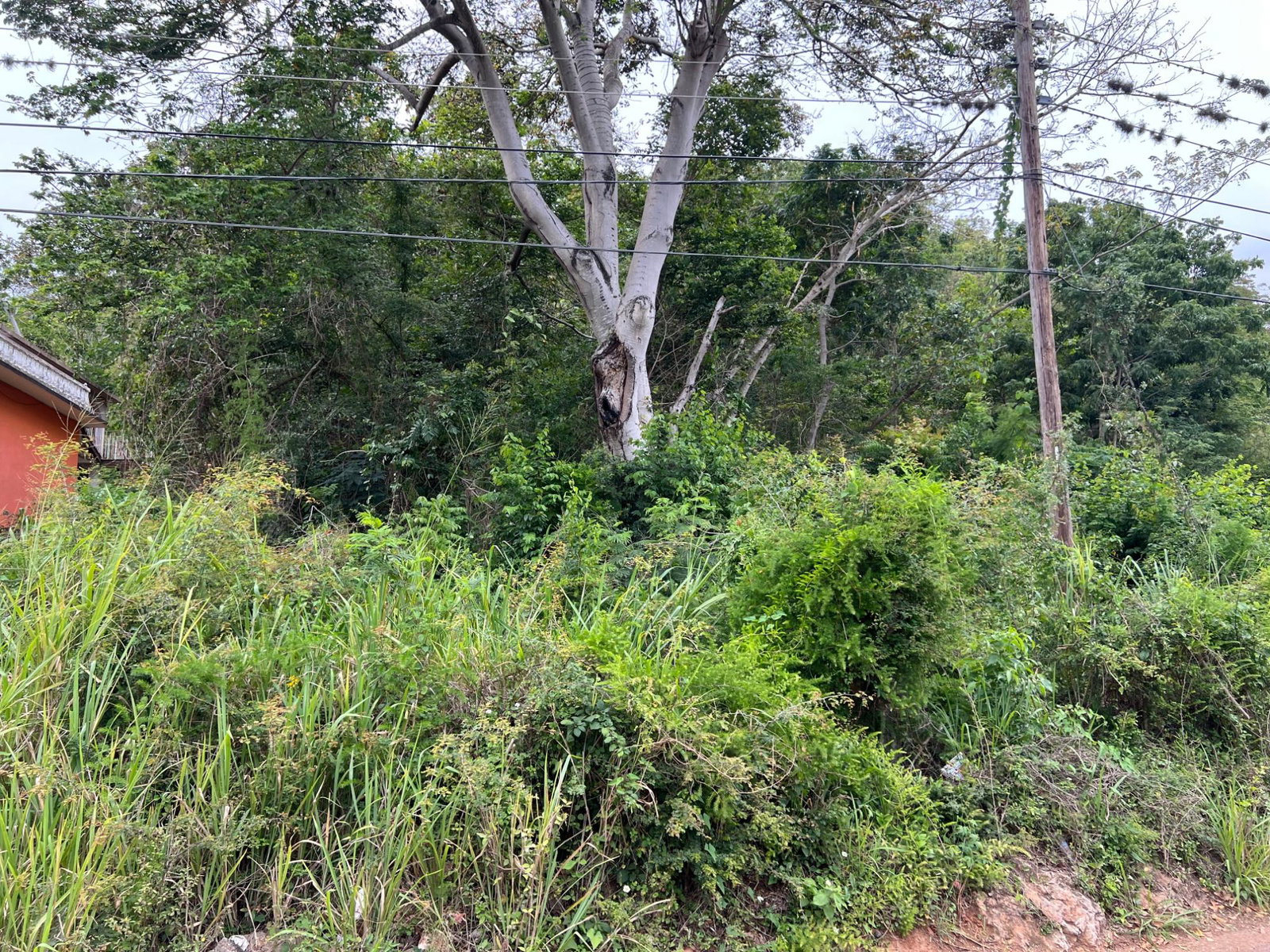 Fifth image of 148 Cyprus Hall Road, Belvede in Kingston 19, St. Andrew, Jamaica - property is For Sale