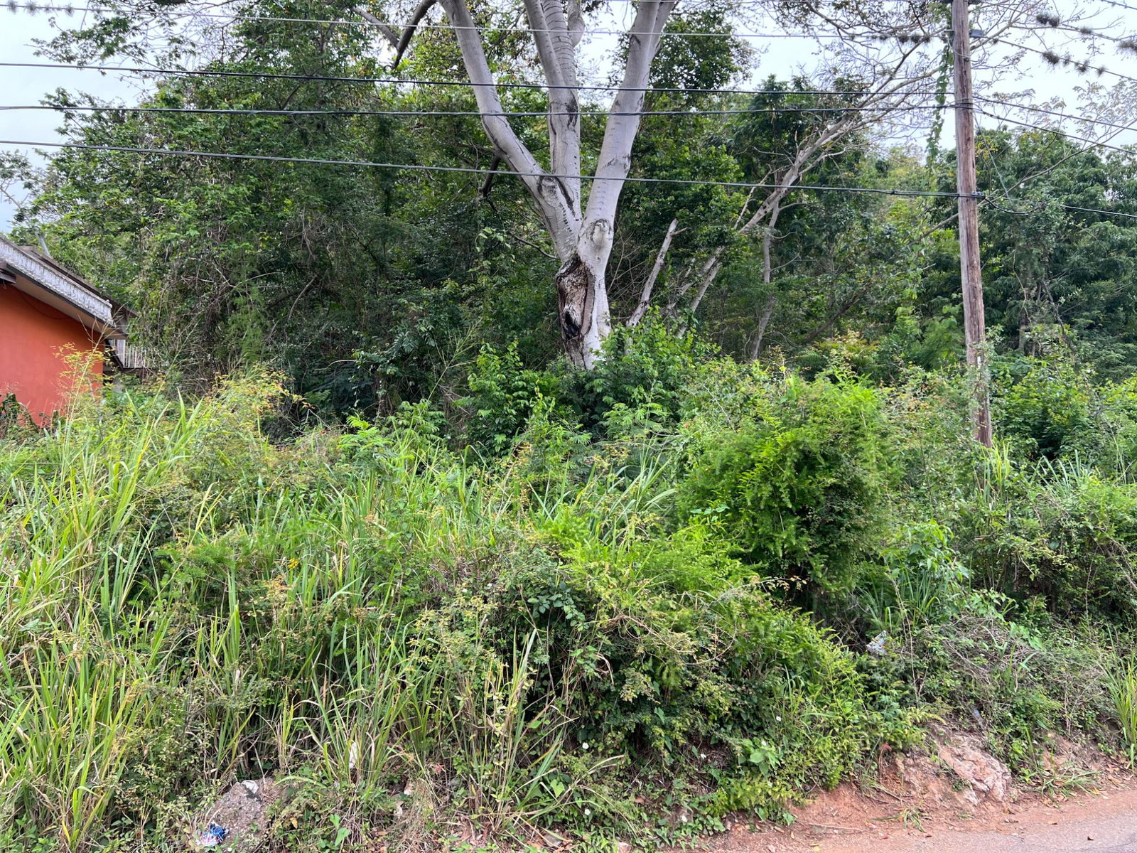 Sixth image of 148 Cyprus Hall Road, Belvede in Kingston 19, St. Andrew, Jamaica - property is For Sale