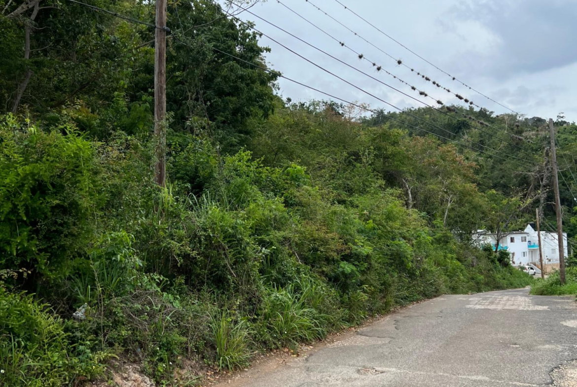 Eighth image of 148 Cyprus Hall Road, Belvede in Kingston 19, St. Andrew, Jamaica - property is For Sale