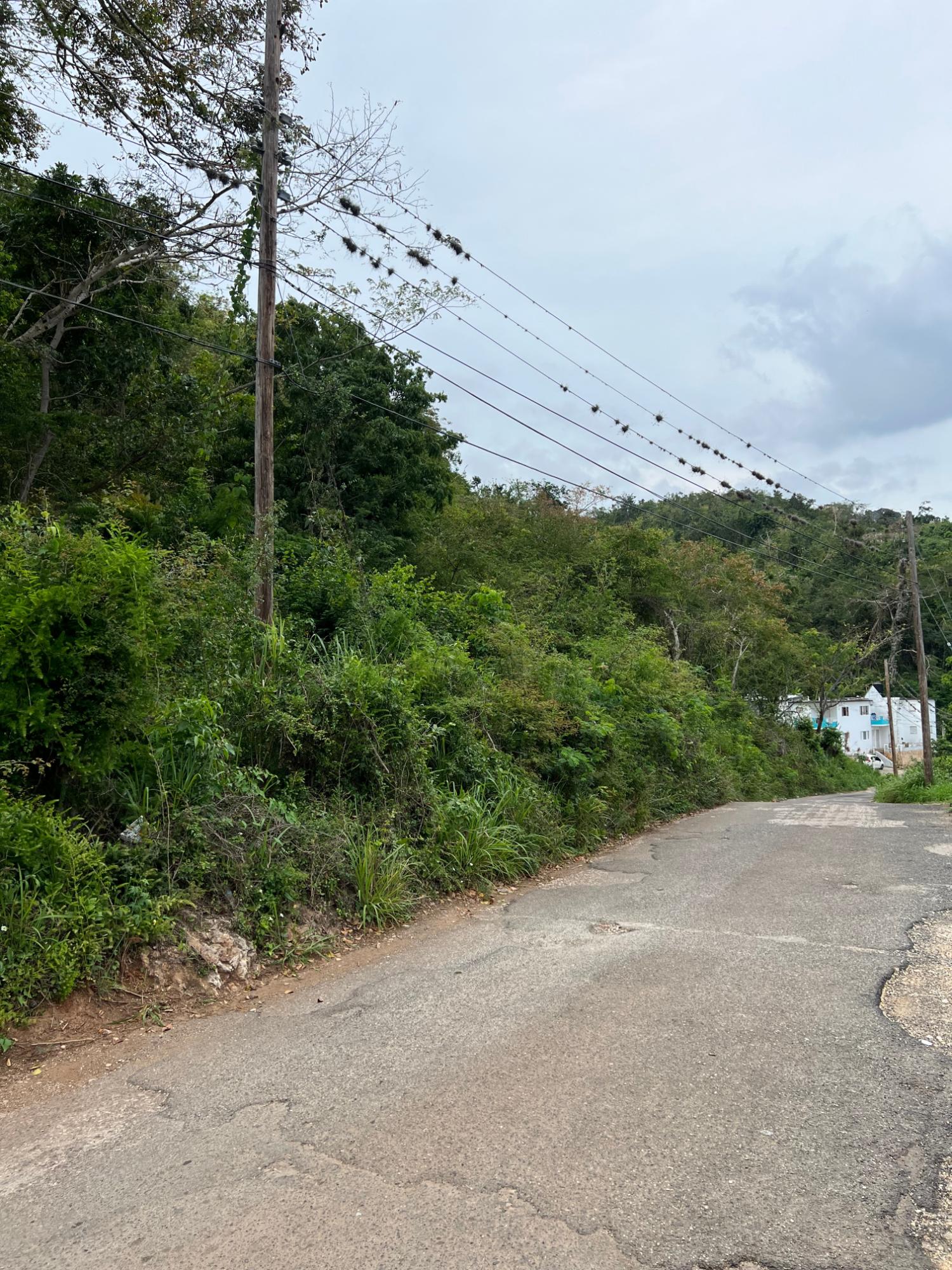 Eighth image of 148 Cyprus Hall Road, Belvede in Kingston 19, St. Andrew, Jamaica - property is For Sale