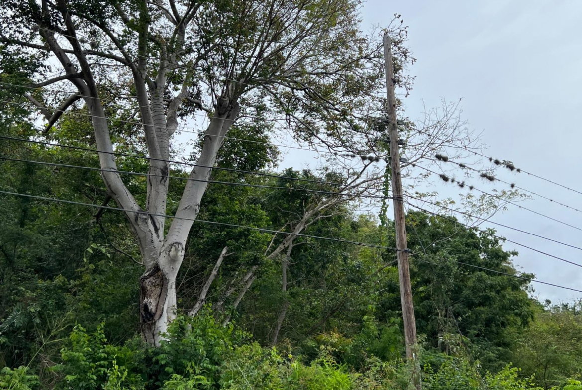 Ninth image of 148 Cyprus Hall Road, Belvede in Kingston 19, St. Andrew, Jamaica - property is For Sale