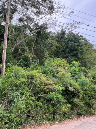 Eighteenth image of 148 Cyprus Hall Road, Belvede in Kingston 19, St. Andrew, Jamaica - property is For Sale