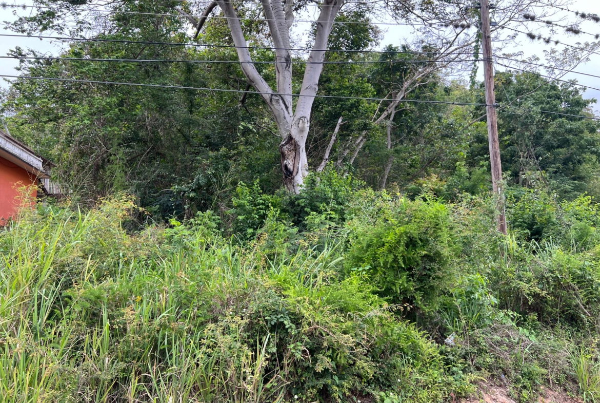 Fifth image of 148 Cyprus Hall Road, Belvede in Kingston 19, St. Andrew, Jamaica - property is For Sale