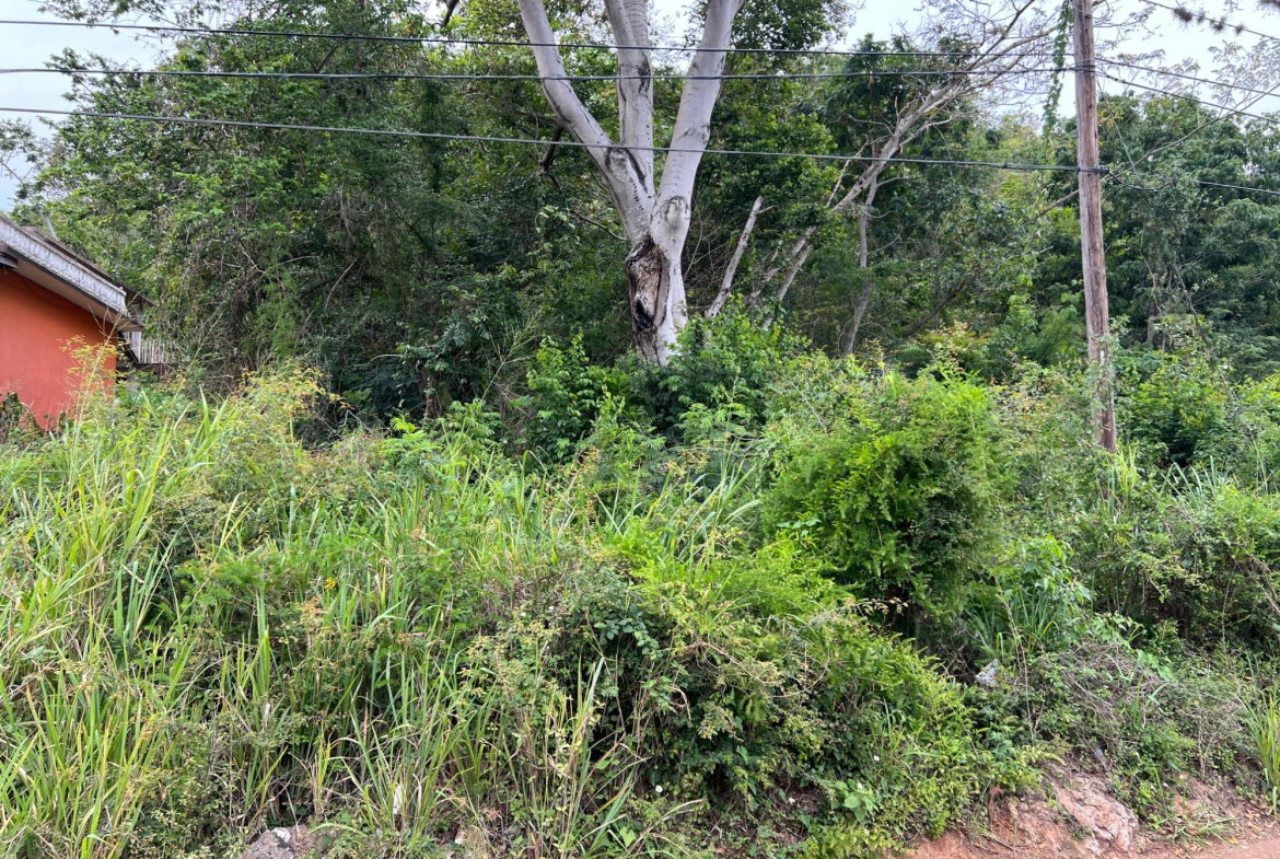 Sixth image of 148 Cyprus Hall Road, Belvede in Kingston 19, St. Andrew, Jamaica - property is For Sale