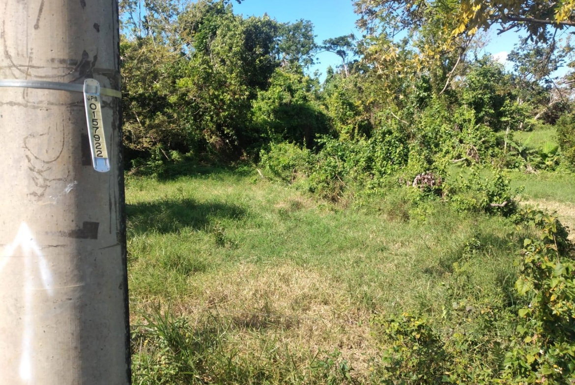 Second image of Lot 2 Part Brumalia in Mandeville, Manchester, Jamaica - property is For Sale