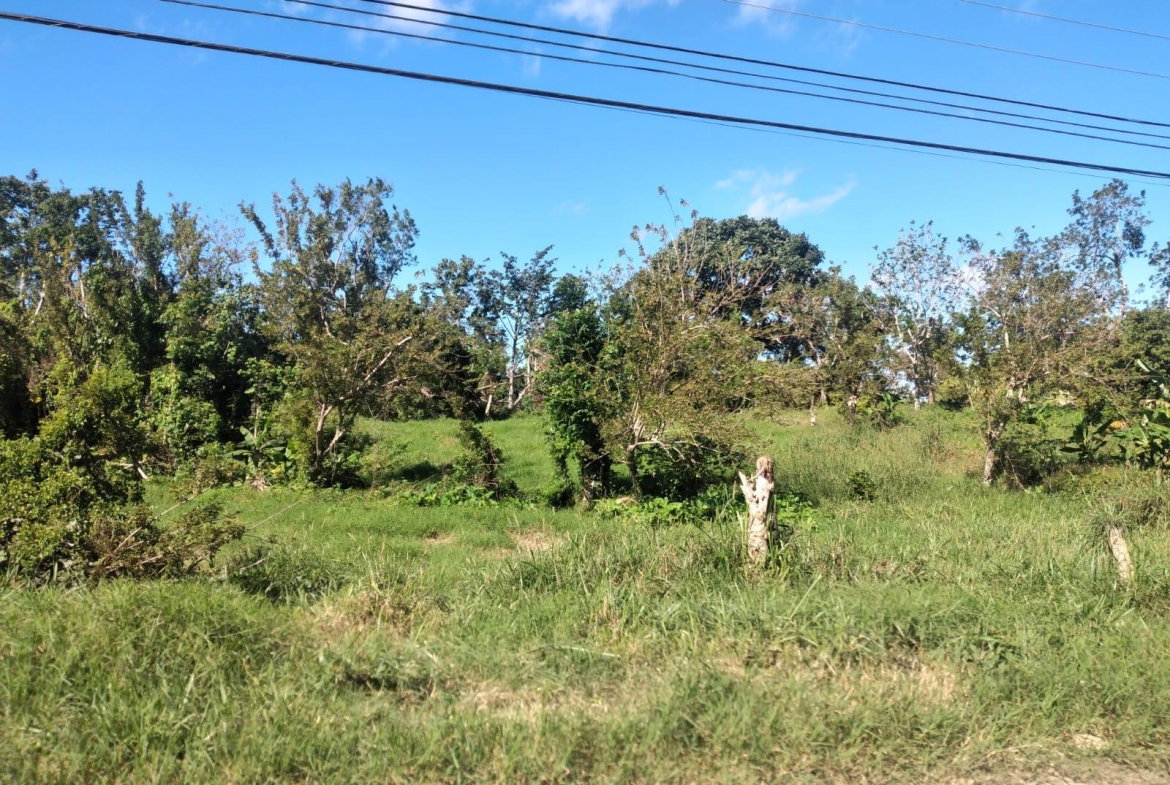 Eleventh image of Lot 2 Part Brumalia in Mandeville, Manchester, Jamaica - property is For Sale