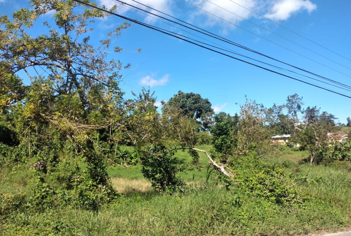 Twelfth image of Lot 2 Part Brumalia in Mandeville, Manchester, Jamaica - property is For Sale