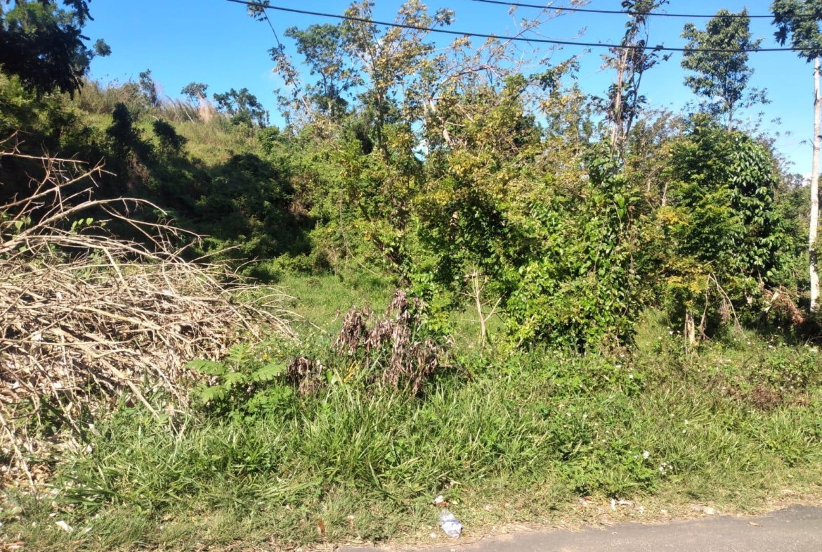 First image of Lot 2 Part Brumalia in Mandeville, Manchester, Jamaica - property is For Sale