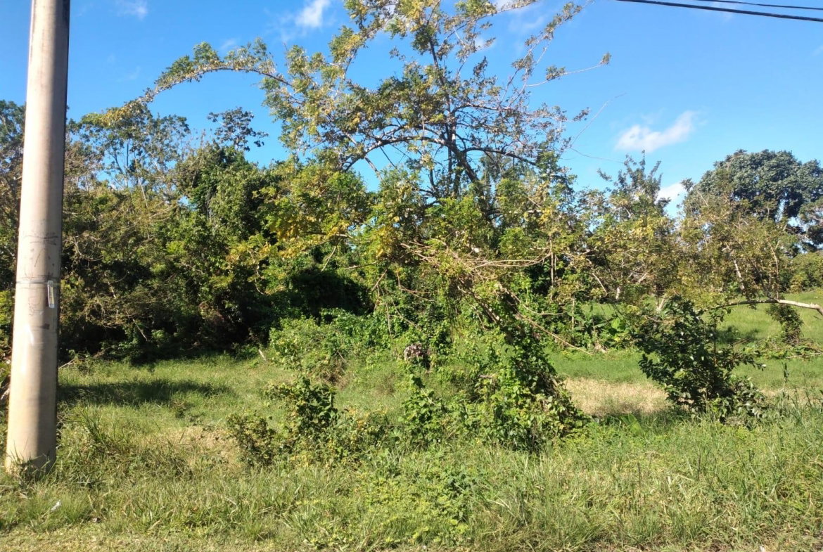 Thirteenth image of Lot 2 Part Brumalia in Mandeville, Manchester, Jamaica - property is For Sale