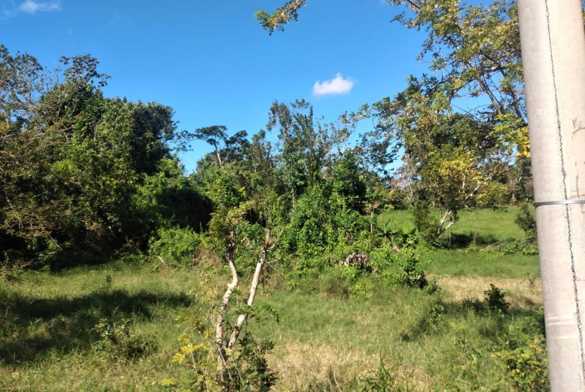 Fourteenth image of Lot 2 Part Brumalia in Mandeville, Manchester, Jamaica - property is For Sale