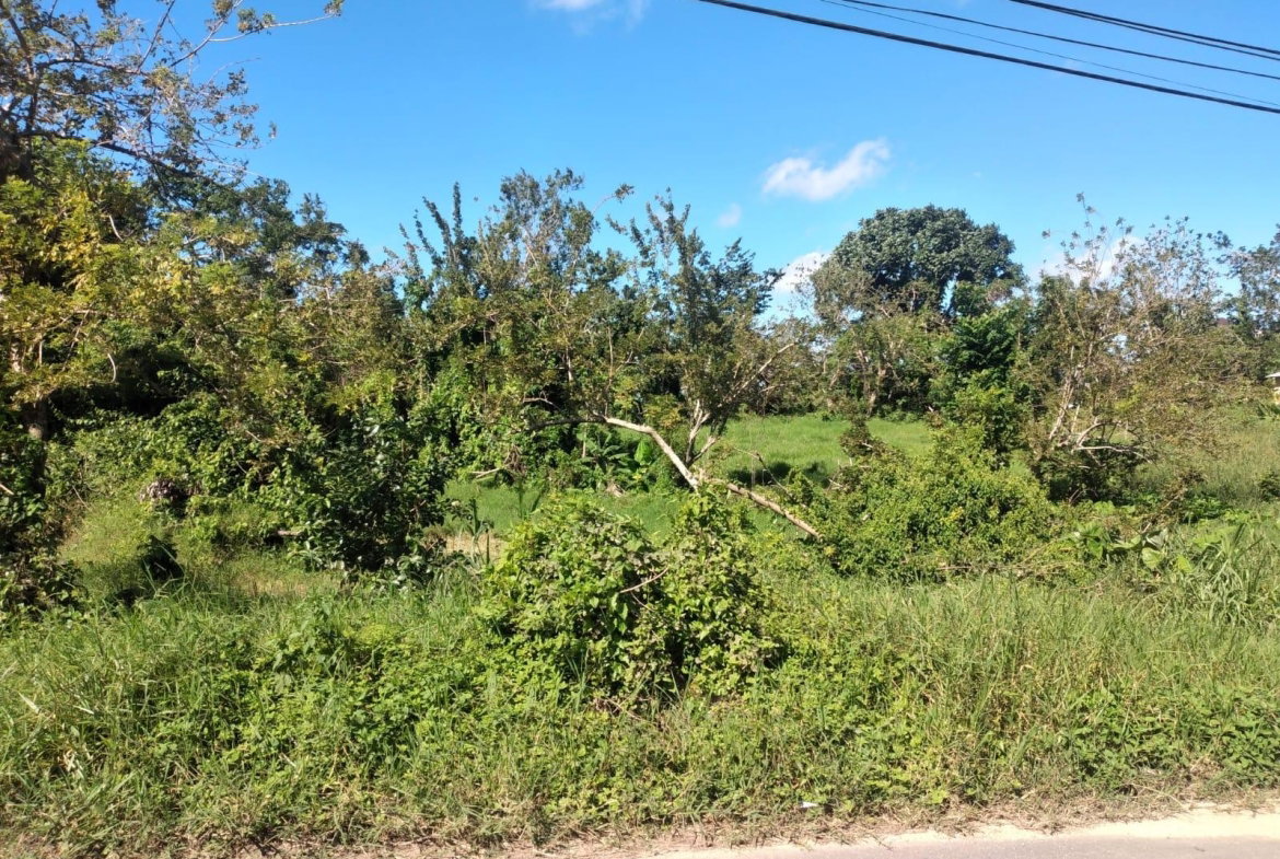 Fifteenth image of Lot 2 Part Brumalia in Mandeville, Manchester, Jamaica - property is For Sale
