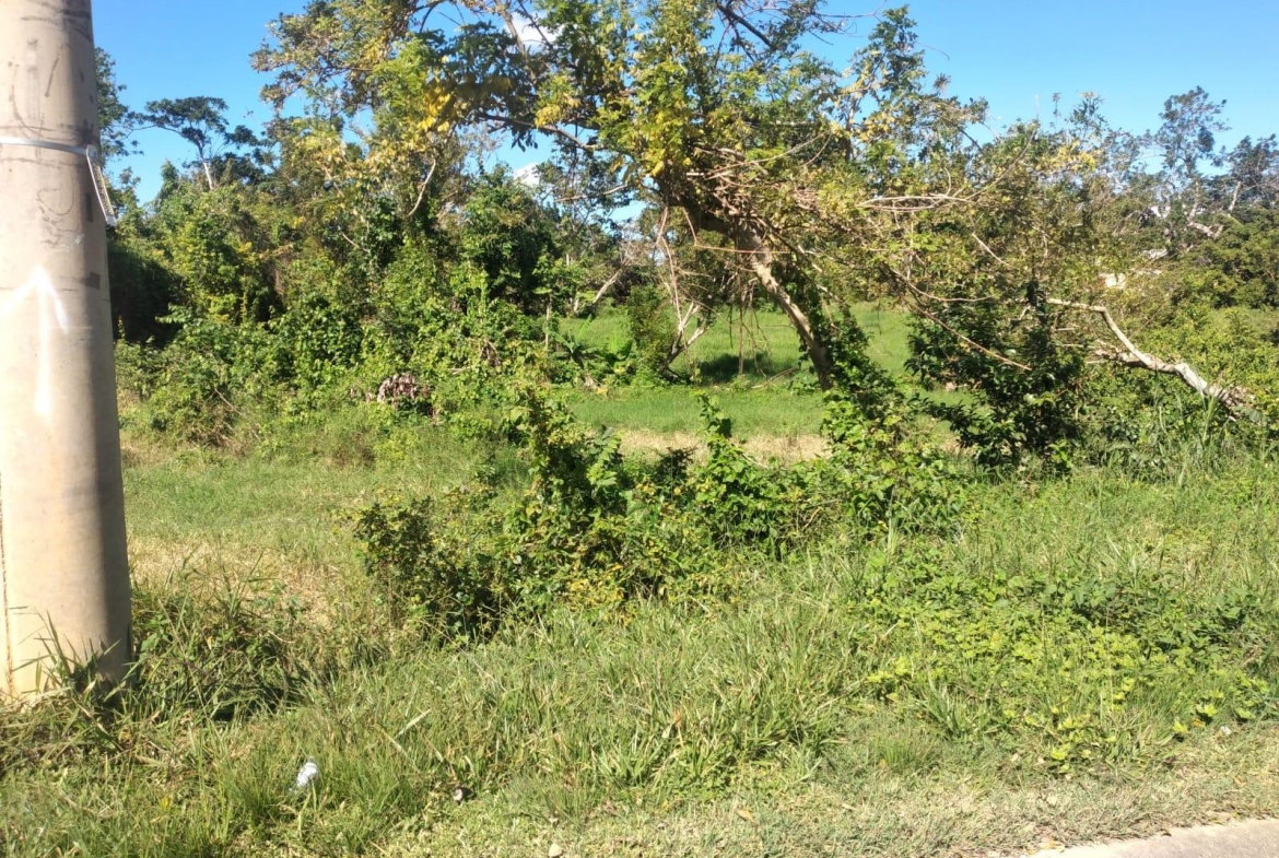 Third image of Lot 2 Part Brumalia in Mandeville, Manchester, Jamaica - property is For Sale