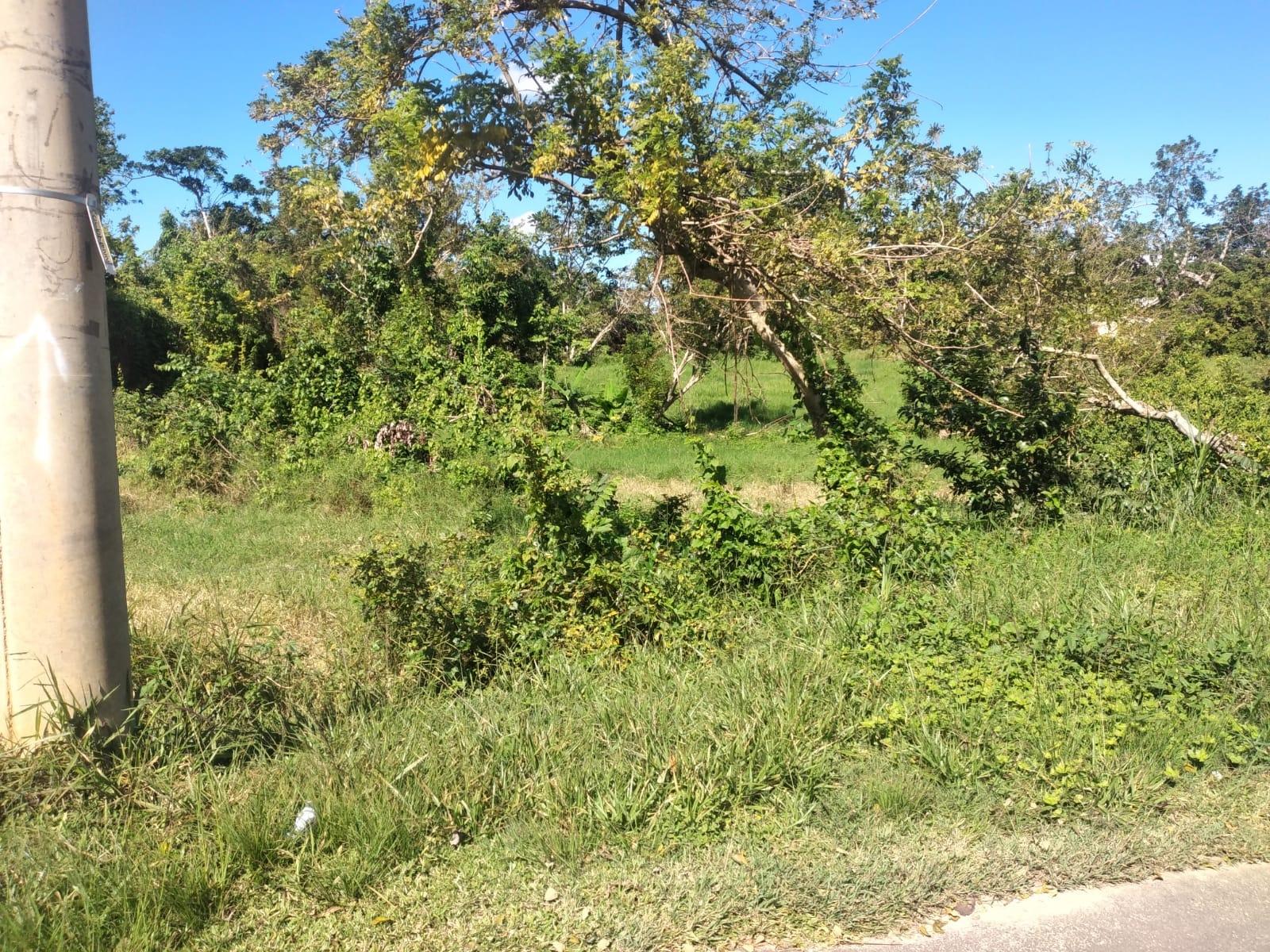 Third image of Lot 2 Part Brumalia in Mandeville, Manchester, Jamaica - property is For Sale