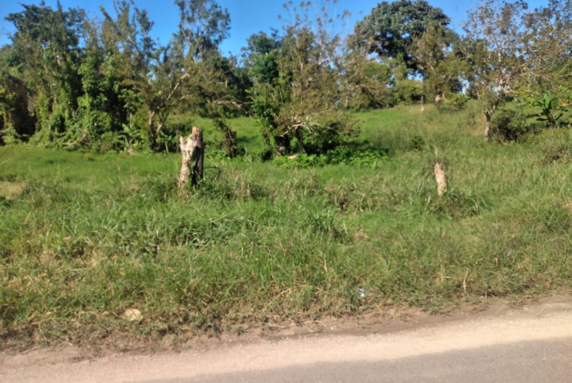 Fourth image of Lot 2 Part Brumalia in Mandeville, Manchester, Jamaica - property is For Sale