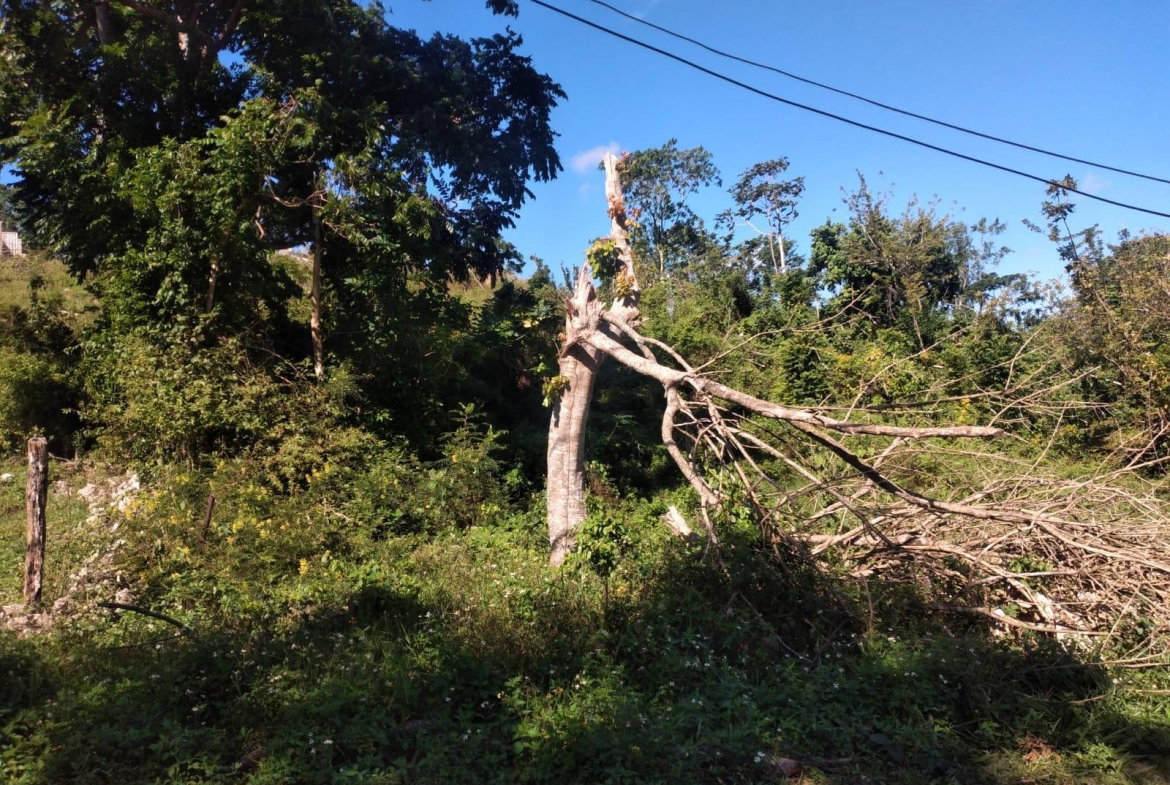 Fifth image of Lot 2 Part Brumalia in Mandeville, Manchester, Jamaica - property is For Sale