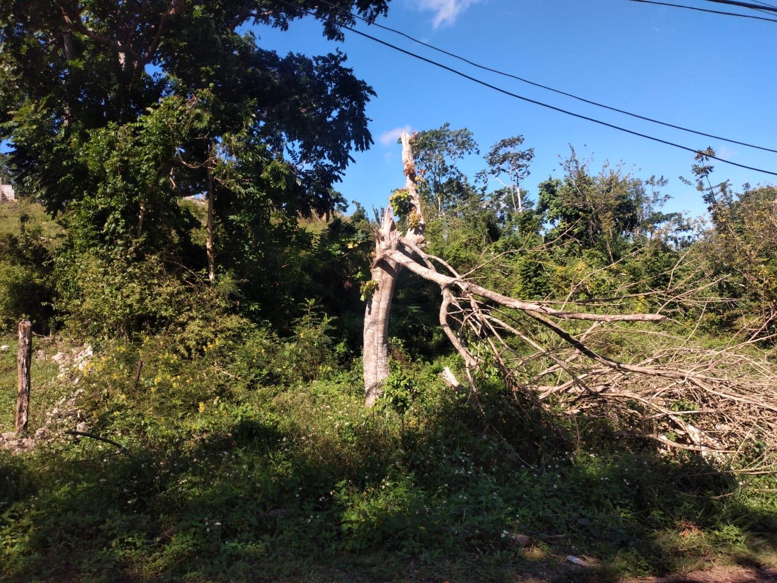 Fifth image of Lot 2 Part Brumalia in Mandeville, Manchester, Jamaica - property is For Sale