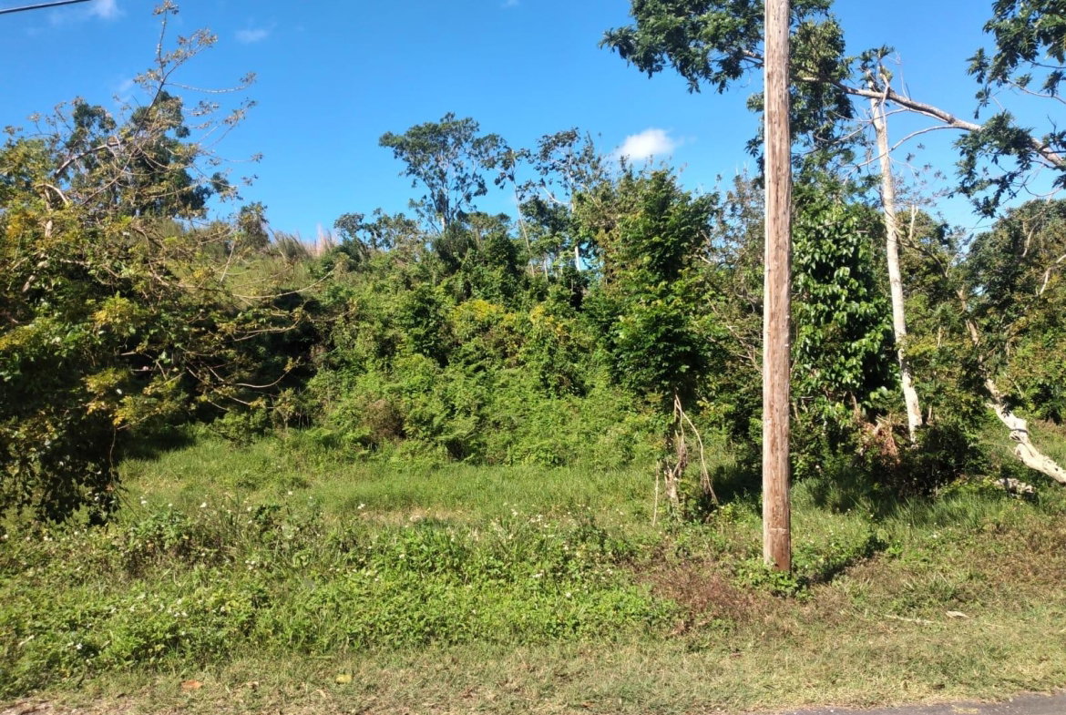 Sixth image of Lot 2 Part Brumalia in Mandeville, Manchester, Jamaica - property is For Sale