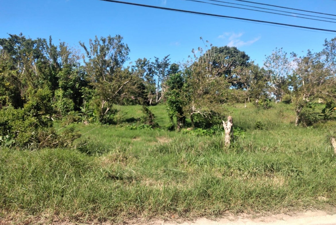Seventh image of Lot 2 Part Brumalia in Mandeville, Manchester, Jamaica - property is For Sale