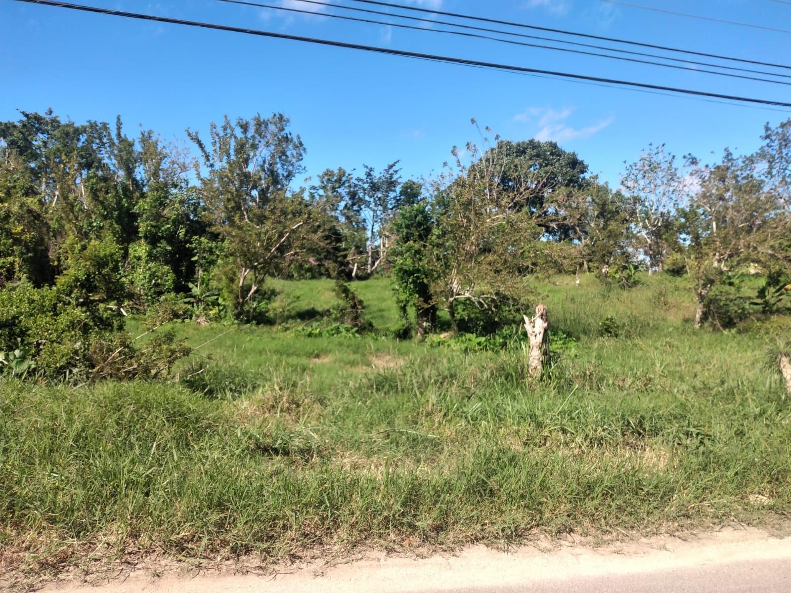 Seventh image of Lot 2 Part Brumalia in Mandeville, Manchester, Jamaica - property is For Sale