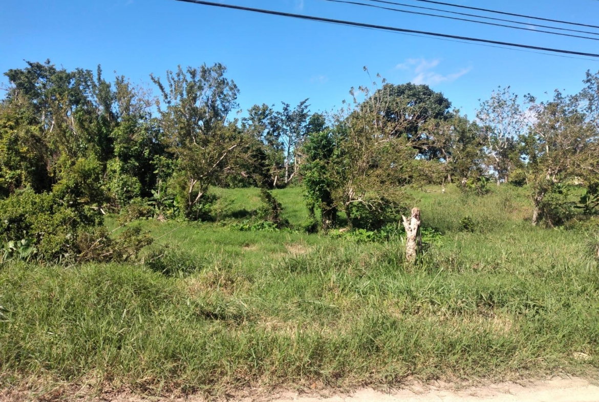 Eighth image of Lot 2 Part Brumalia in Mandeville, Manchester, Jamaica - property is For Sale