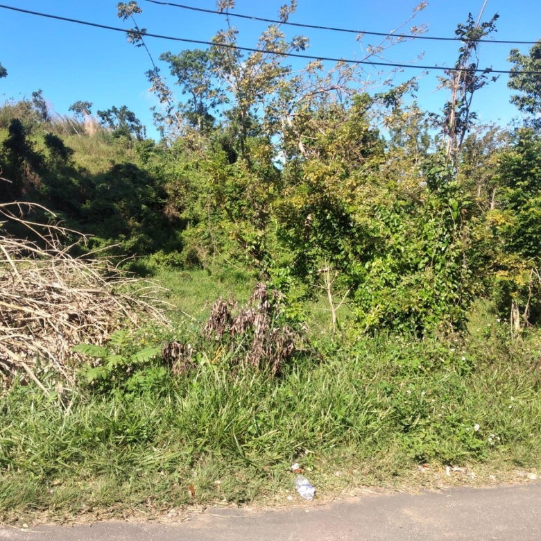 First image of Lot 2 Part Brumalia in Mandeville, Manchester, Jamaica - property is For Sale