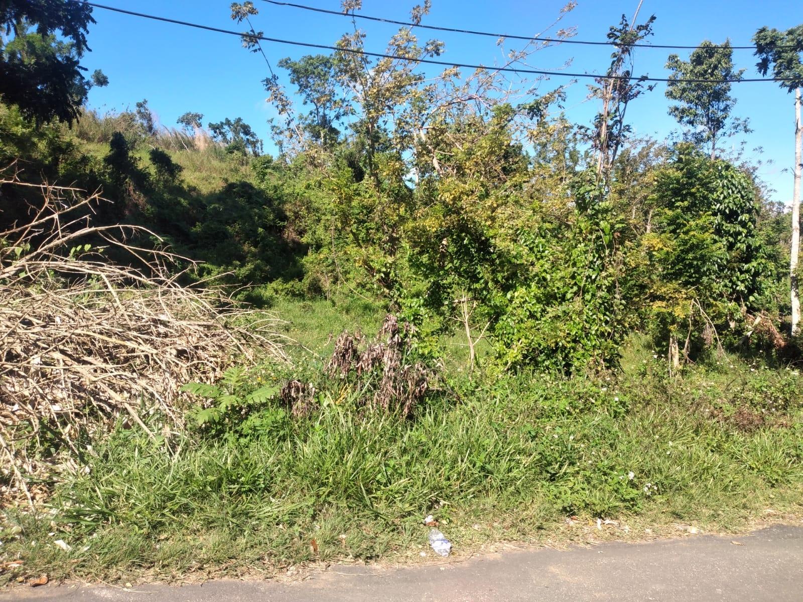 First image of Lot 2 Part Brumalia in Mandeville, Manchester, Jamaica - property is For Sale