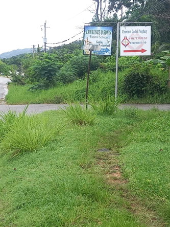 Twelfth image of Lot 240 Culloden, Whitehouse in WHITEHOUSE, Westmoreland, Jamaica - property is For Sale