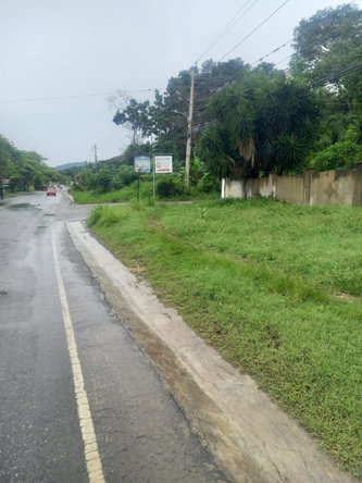 Thirteenth image of Lot 240 Culloden, Whitehouse in WHITEHOUSE, Westmoreland, Jamaica - property is For Sale