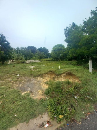 Fifth image of Lot 240 Culloden, Whitehouse in WHITEHOUSE, Westmoreland, Jamaica - property is For Sale