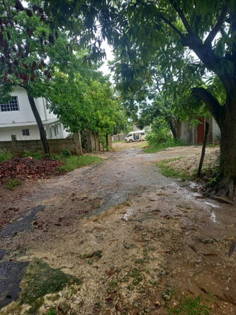 Seventh image of Lot 240 Culloden, Whitehouse in WHITEHOUSE, Westmoreland, Jamaica - property is For Sale
