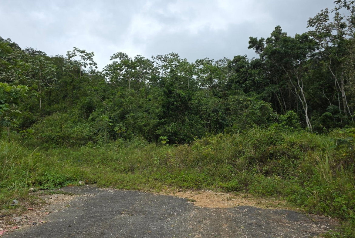 Third image of Lot 30- Hidden Valley Smokey Vale in Kingston 19, St. Andrew, Jamaica - property is For Sale