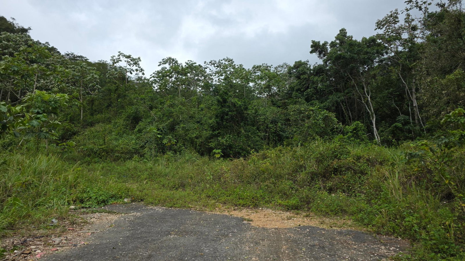 Residential-Lot-for-Sale-in-Hidden-Valley-Smokey-Vale-St.-Andrew-Jamaica Third image of Lot 30- Hidden Valley Smokey Vale in Kingston 19, St. Andrew, Jamaica - property is For Sale