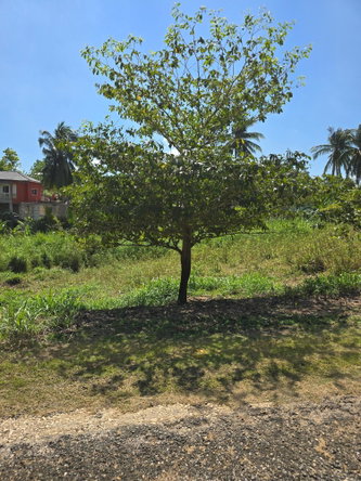 Third image of 6 Julia Ville, Ewarton in Ewarton, St. Catherine, Jamaica - property is For Sale