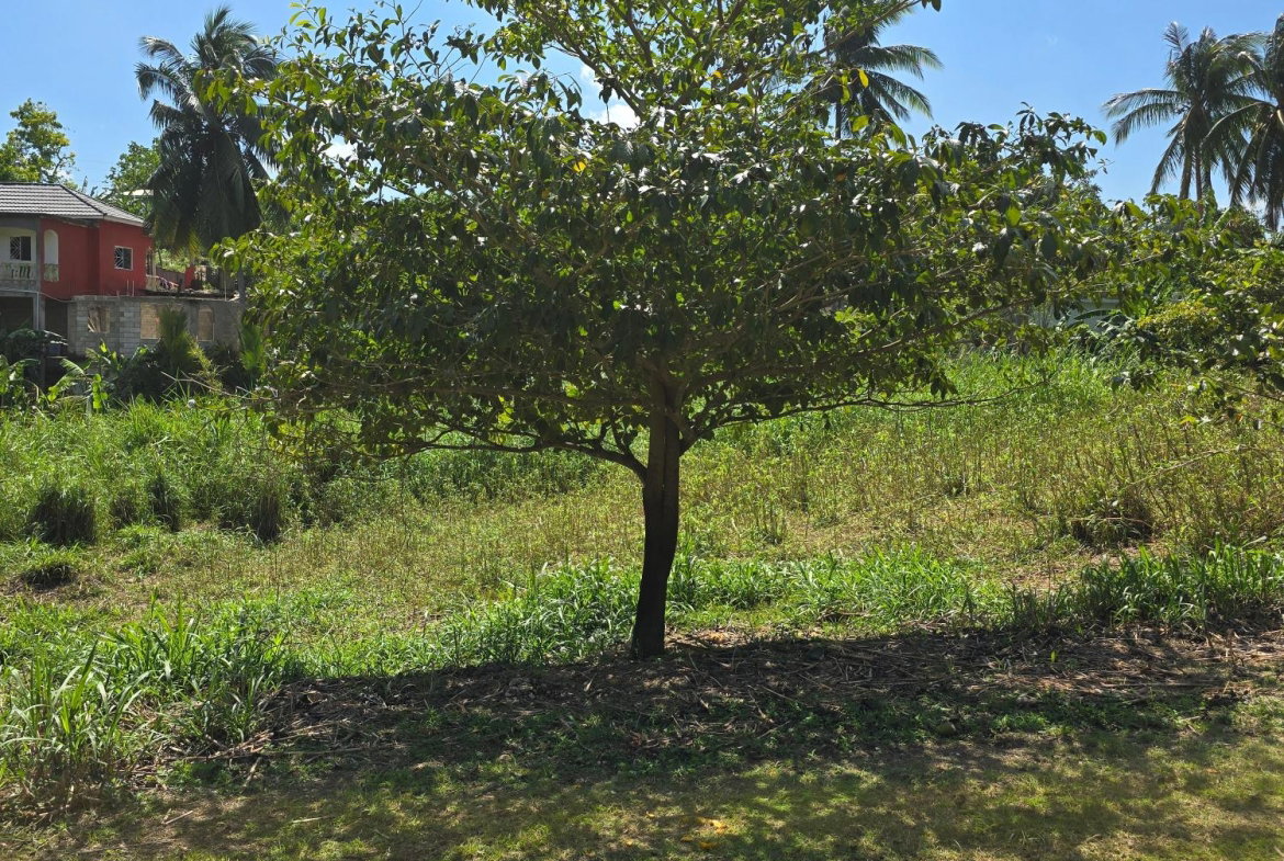 Fourth image of 6 Julia Ville, Ewarton in Ewarton, St. Catherine, Jamaica - property is For Sale