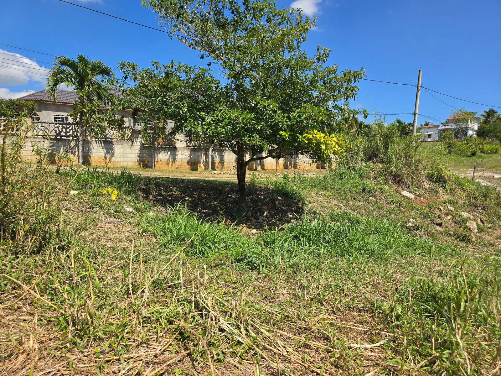 Residential-Lot-for-Sale-in-Julia-Ville-Ewarton-St.-Catherine-6-Julia-Ville Fifth image of 6 Julia Ville, Ewarton in Ewarton, St. Catherine, Jamaica - property is For Sale