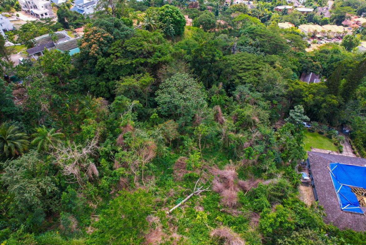 Fifth image of Tavistock Terrace in Kingston 6, St. Andrew, Jamaica - property is For Sale