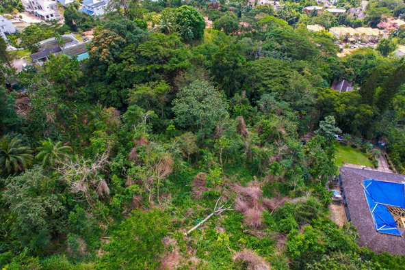 Fifth image of Tavistock Terrace in Kingston 6, St. Andrew, Jamaica - property is For Sale