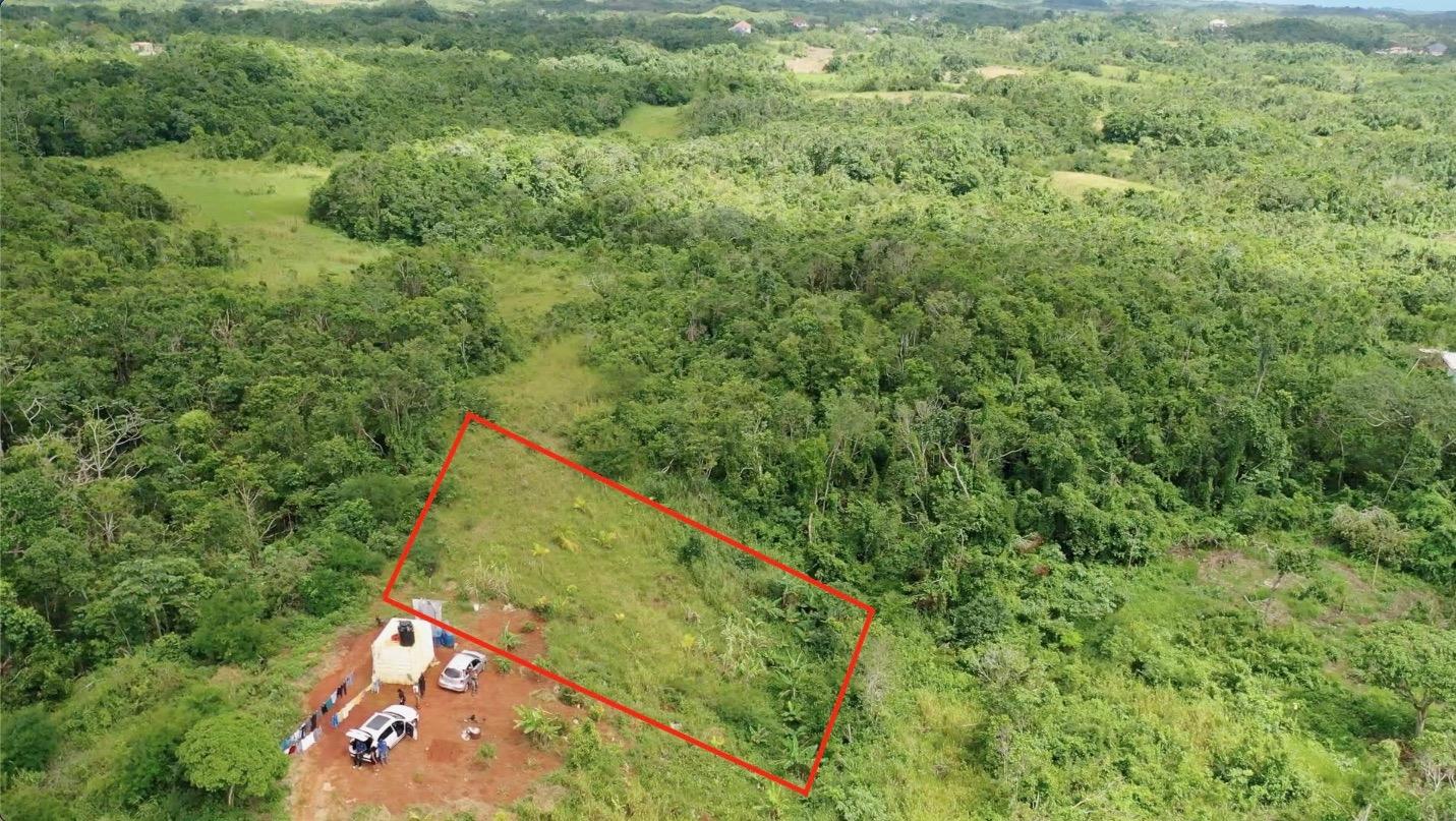Residential-Lot-for-Sale-in-Langsyne-District-Manchester-Jamaica-–-14-Acre Second image of Langsyne District, Cross in Cross Keys, Manchester, Jamaica - property is For Sale