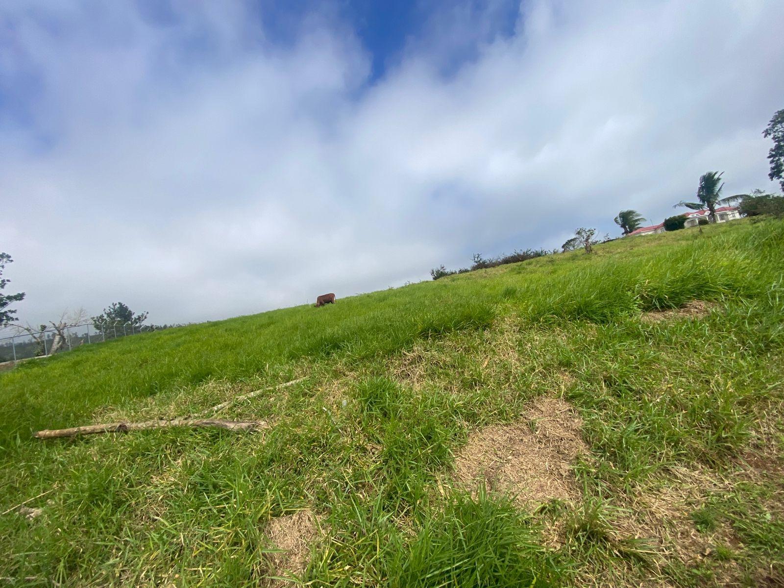 Second image of Lower Christiana Manchest in Christiana, Manchester, Jamaica - property is For Sale