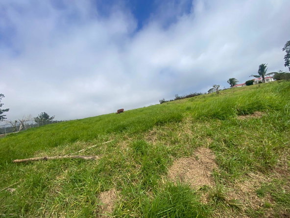 Second image of Lower Christiana Manchest in Christiana, Manchester, Jamaica - property is For Sale
