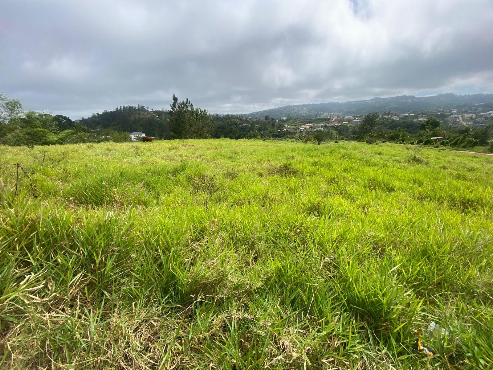 Eleventh image of Lower Christiana Manchest in Christiana, Manchester, Jamaica - property is For Sale