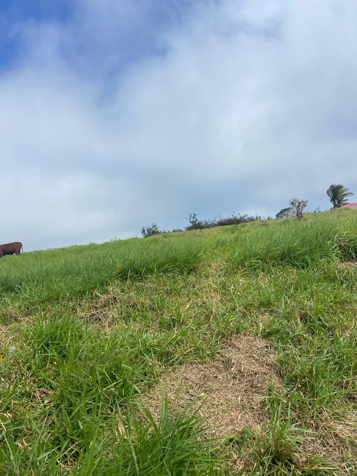 Twelfth image of Lower Christiana Manchest in Christiana, Manchester, Jamaica - property is For Sale