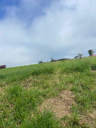 Twelfth image of Lower Christiana Manchest in Christiana, Manchester, Jamaica - property is For Sale