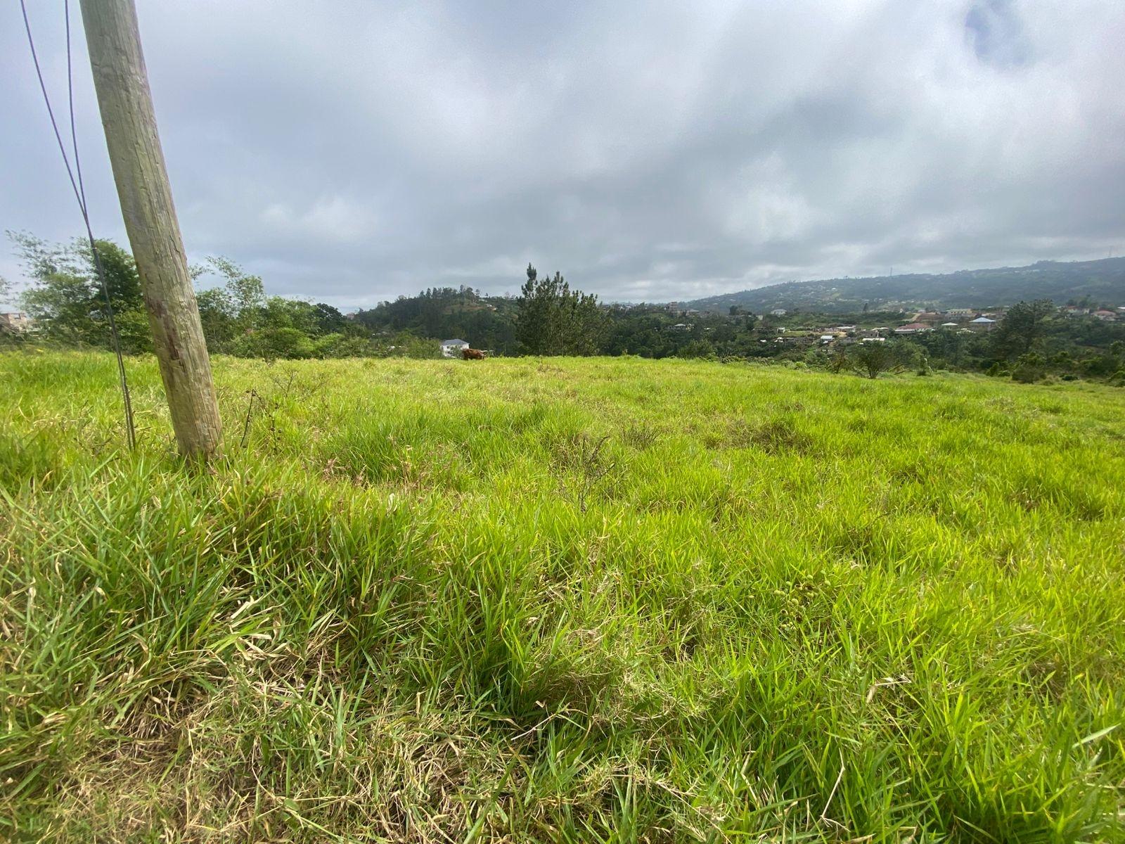 Thirteenth image of Lower Christiana Manchest in Christiana, Manchester, Jamaica - property is For Sale