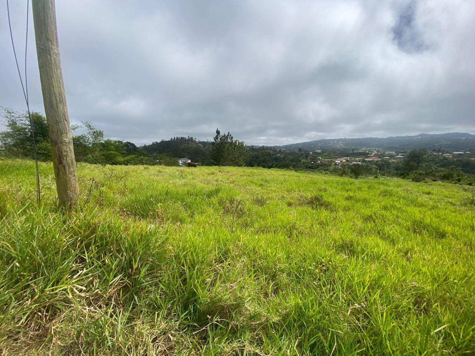 Fifteenth image of Lower Christiana Manchest in Christiana, Manchester, Jamaica - property is For Sale