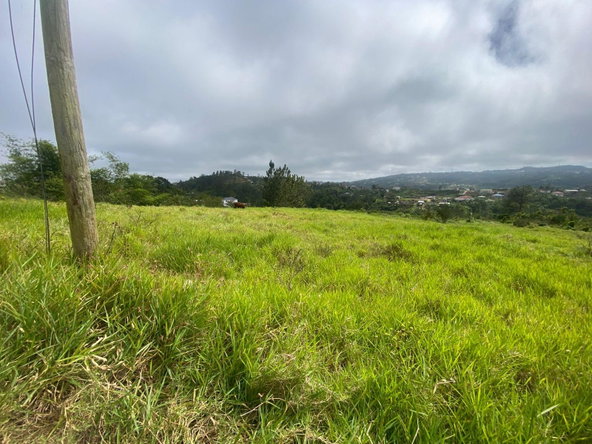Fifteenth image of Lower Christiana Manchest in Christiana, Manchester, Jamaica - property is For Sale