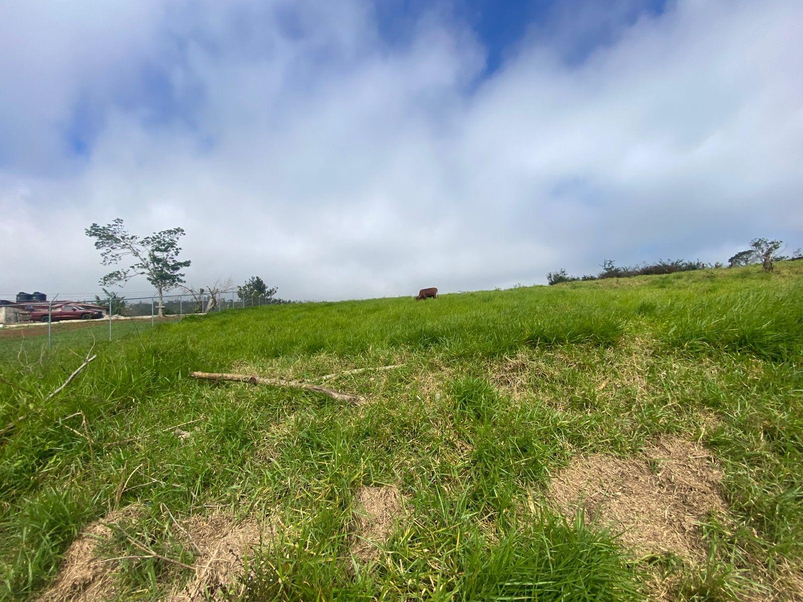 Third image of Lower Christiana Manchest in Christiana, Manchester, Jamaica - property is For Sale